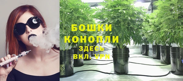 2c-b Абаза