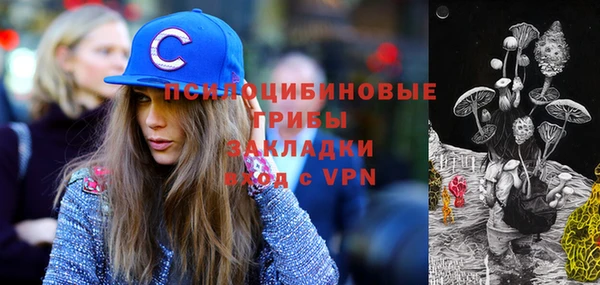 молекула духа Абинск