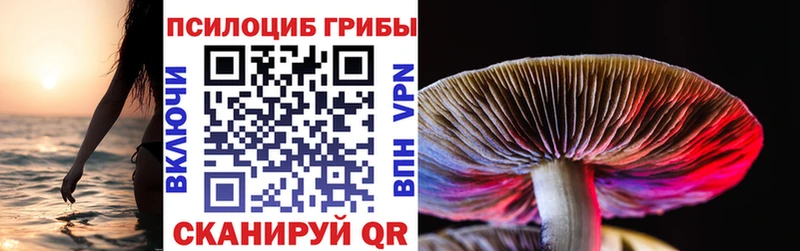 blacksprut ТОР Ильский Галлюциногенные грибы мухоморы даркнет состав закладки